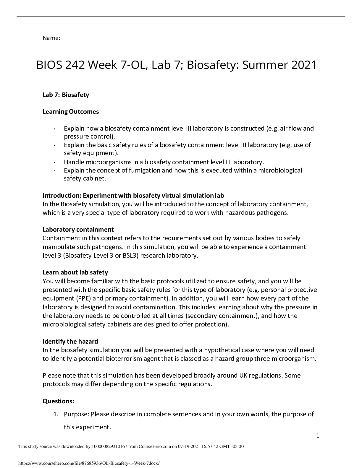 document-preview