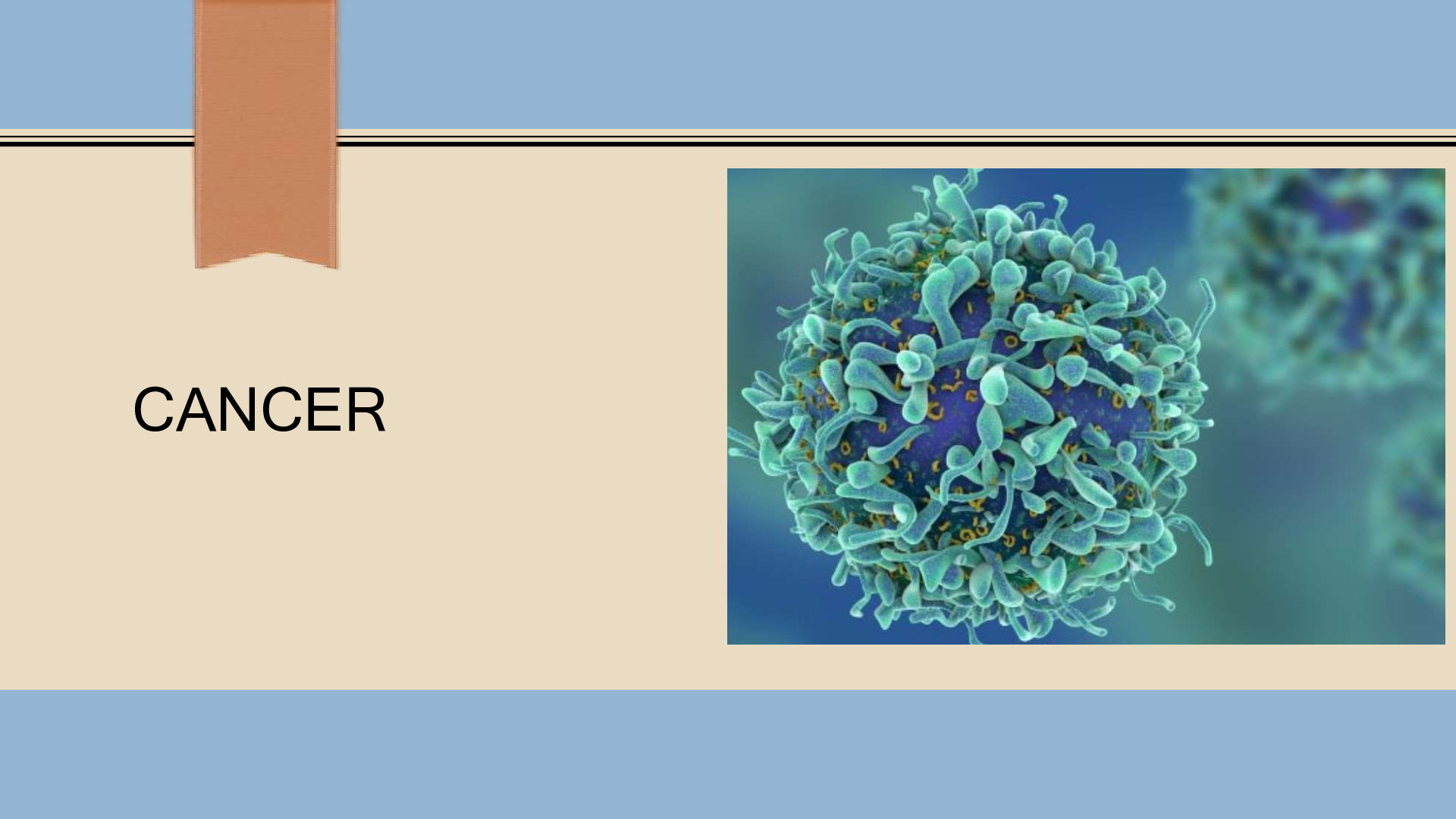 Preview image of Oncology (2) document