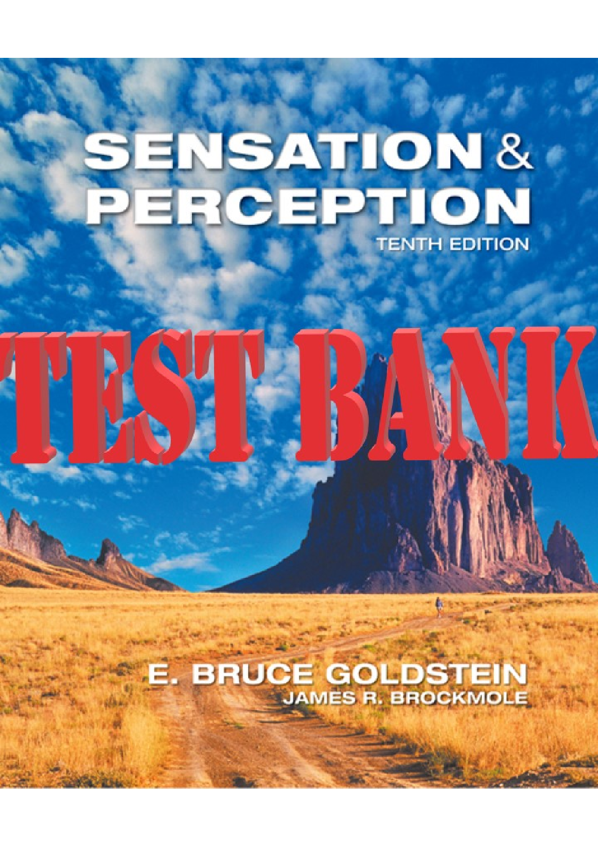 Preview of Test Bank for Sensation and Perception 10th Edition Goldstein All Chapters