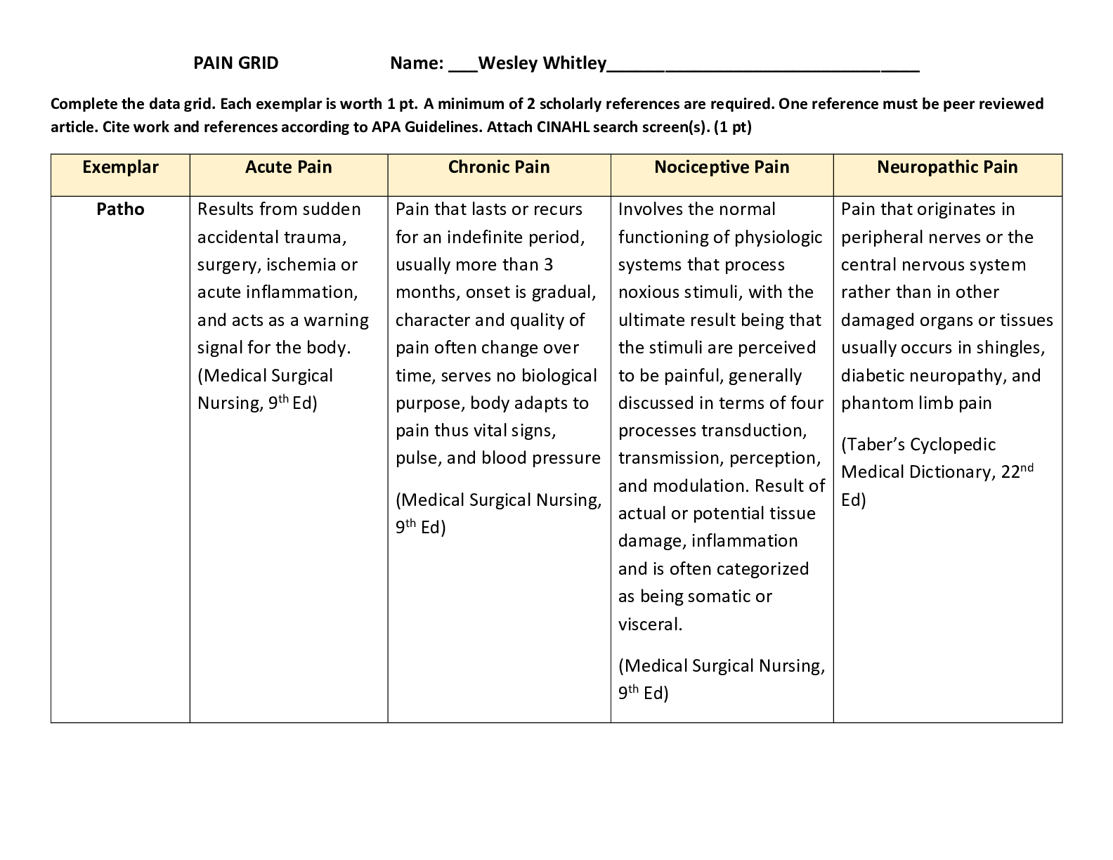 Preview image for NUR 2571PAIN GRID Rasmussen College