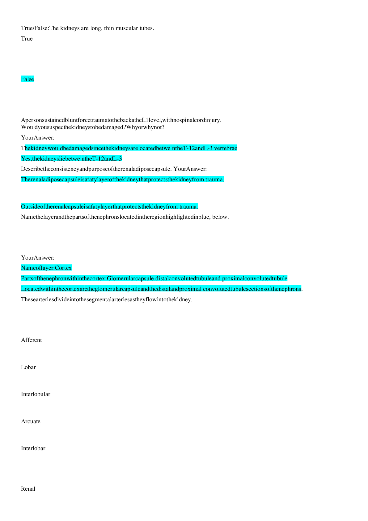 document-preview