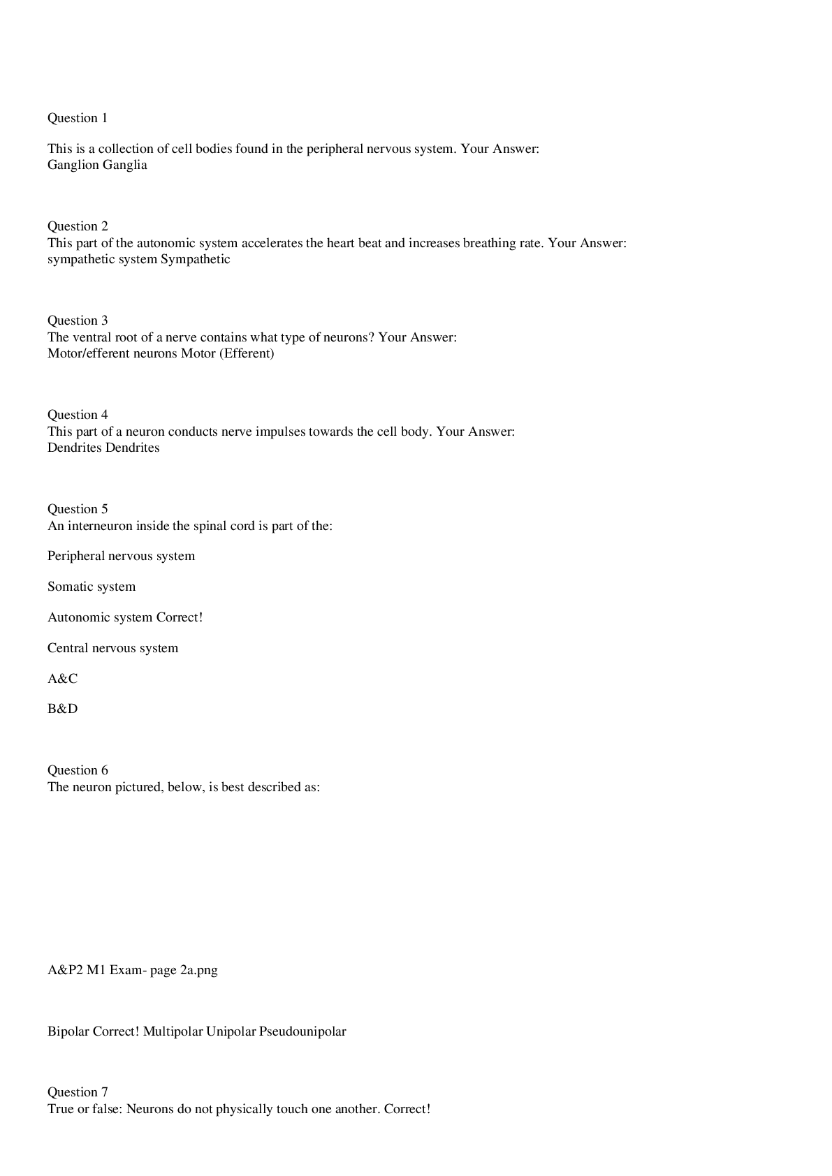 document-preview