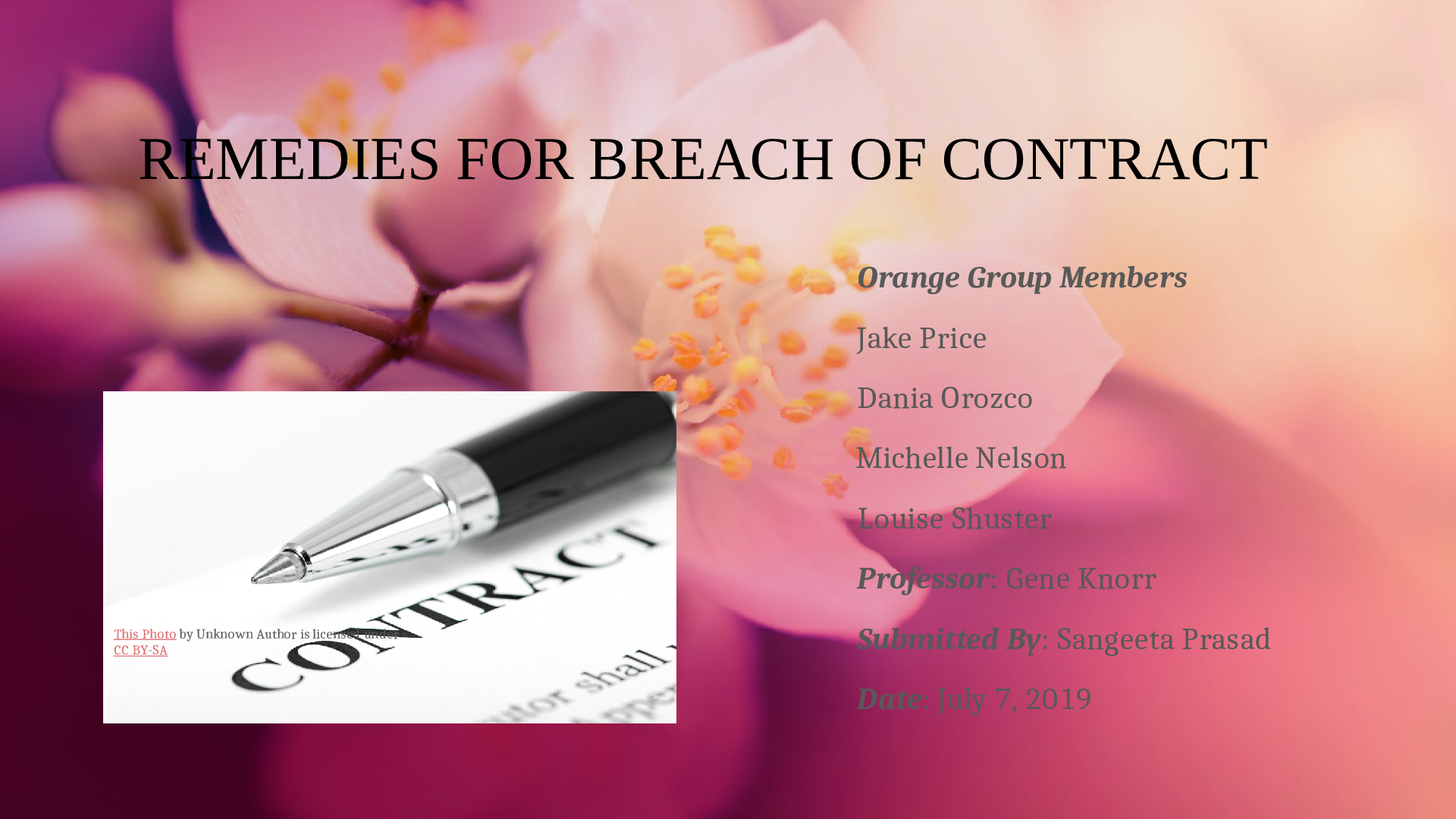 document-preview