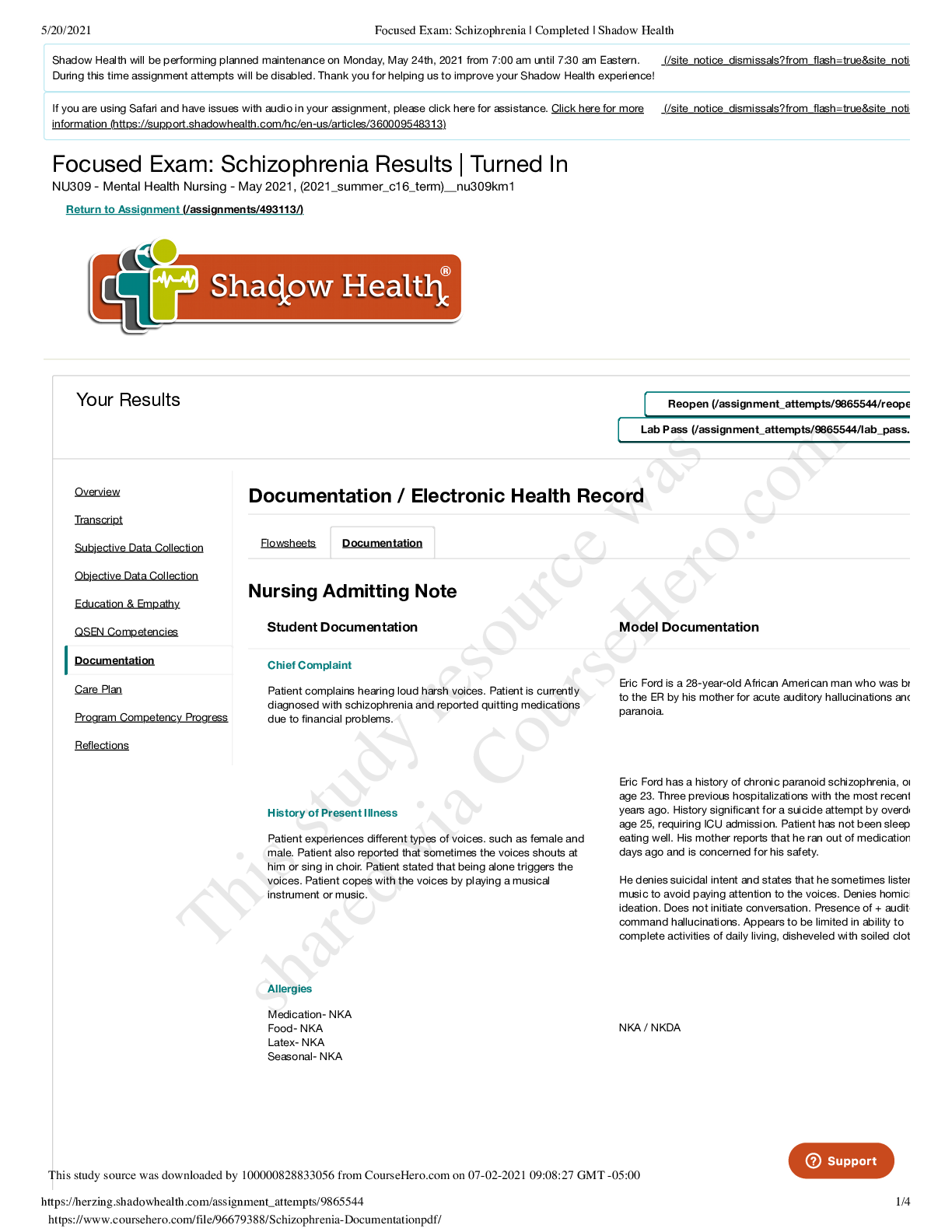 Preview image of Schizophrenia Documentation.pdf document