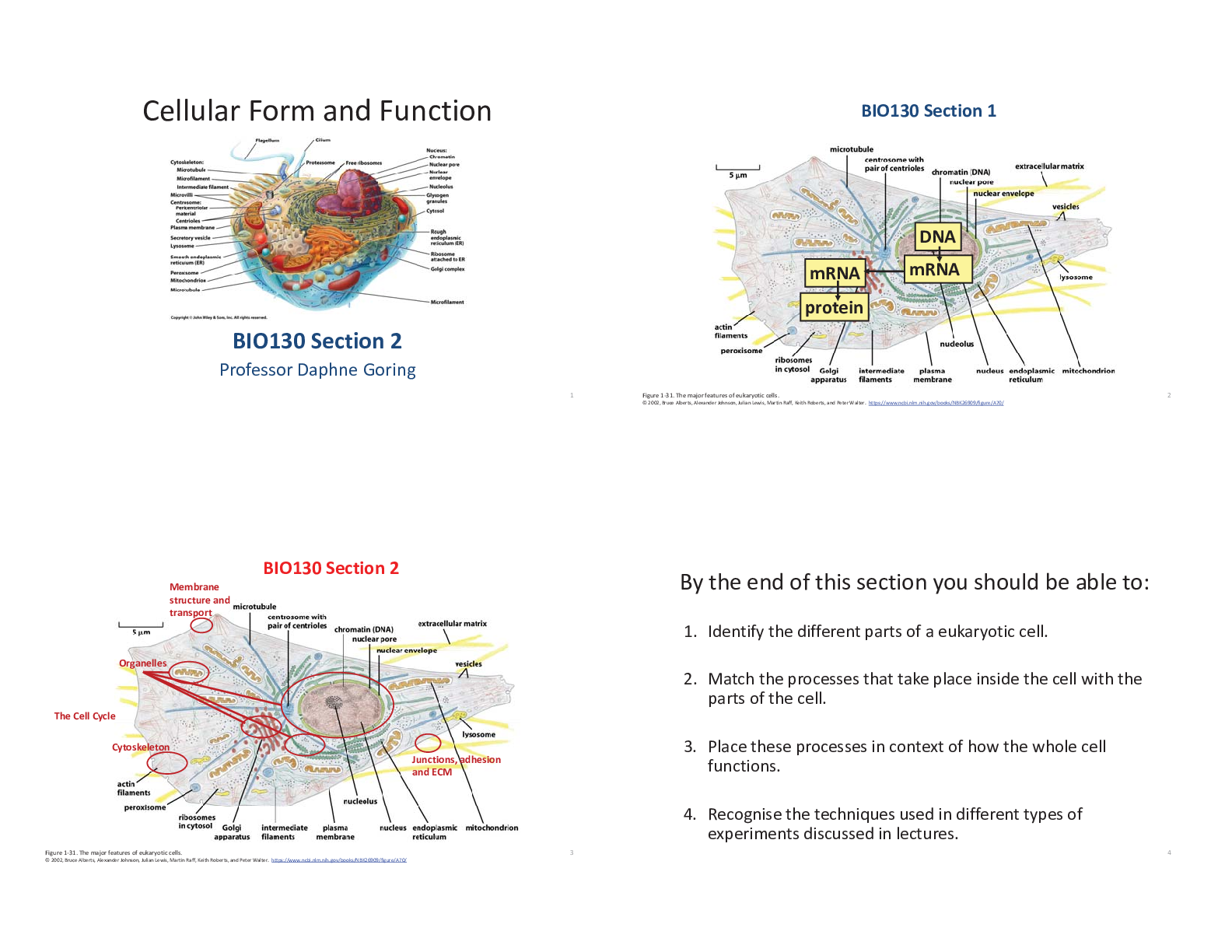 Preview image of BIO130-Sec2-Week document