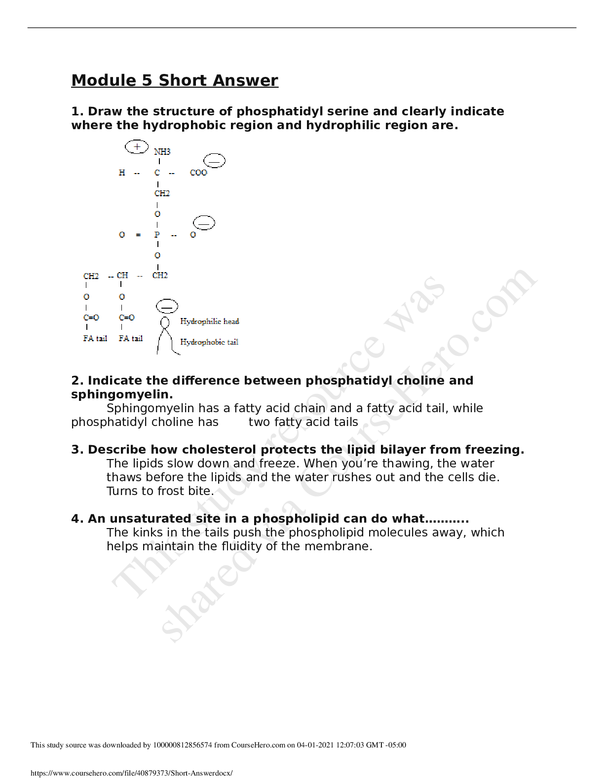 Preview image of BIO 353Short Answer.docx Short Answer.docx 2021 GRADED A document