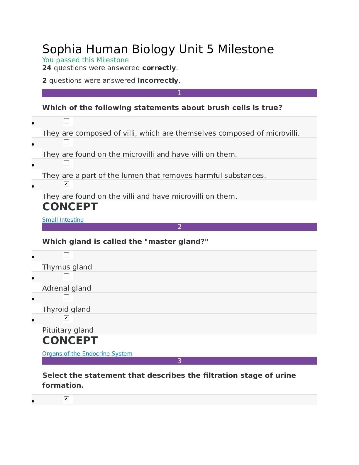 document-preview