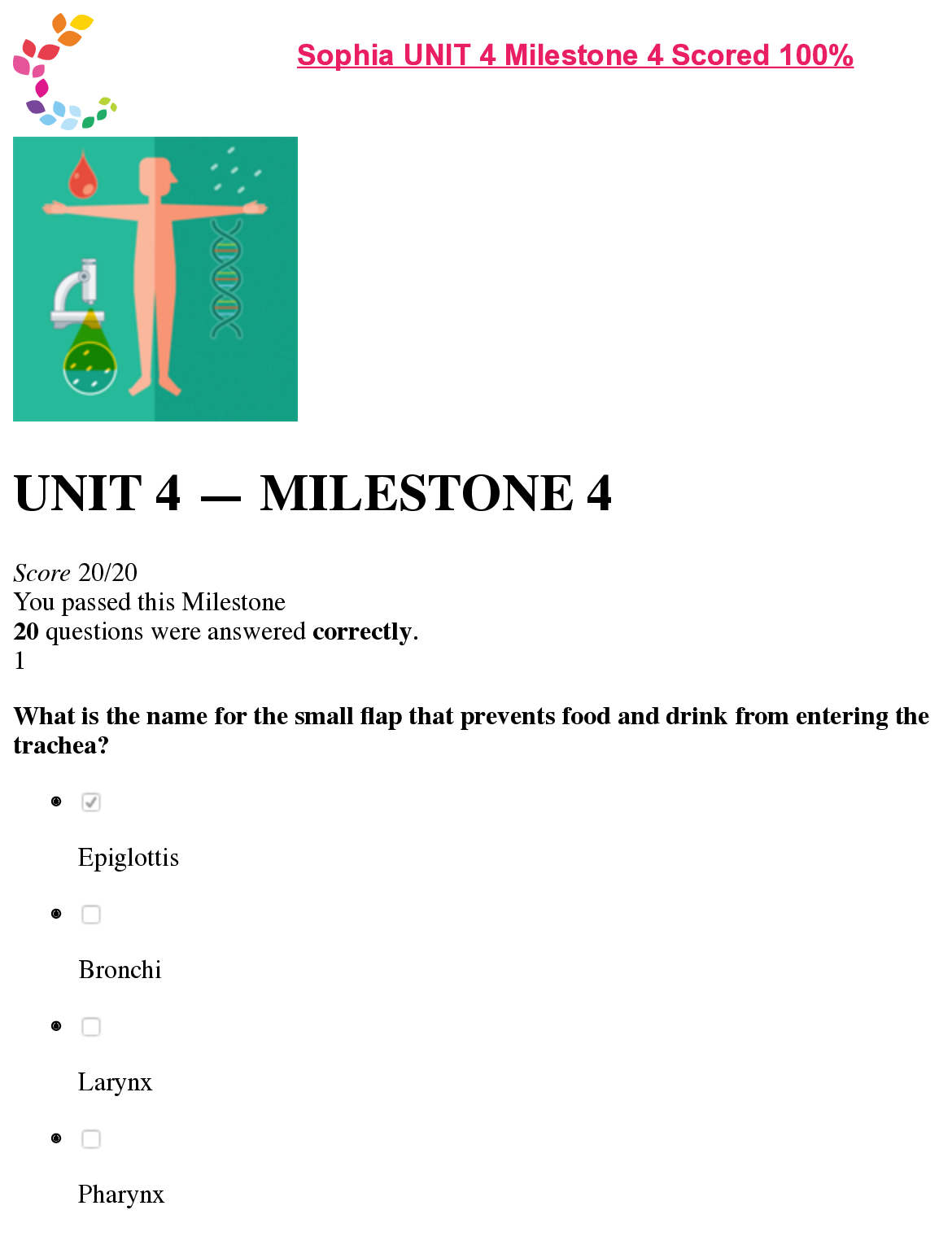 Preview image for Sophia____Welcome_UNIT_4_MILESTONE.