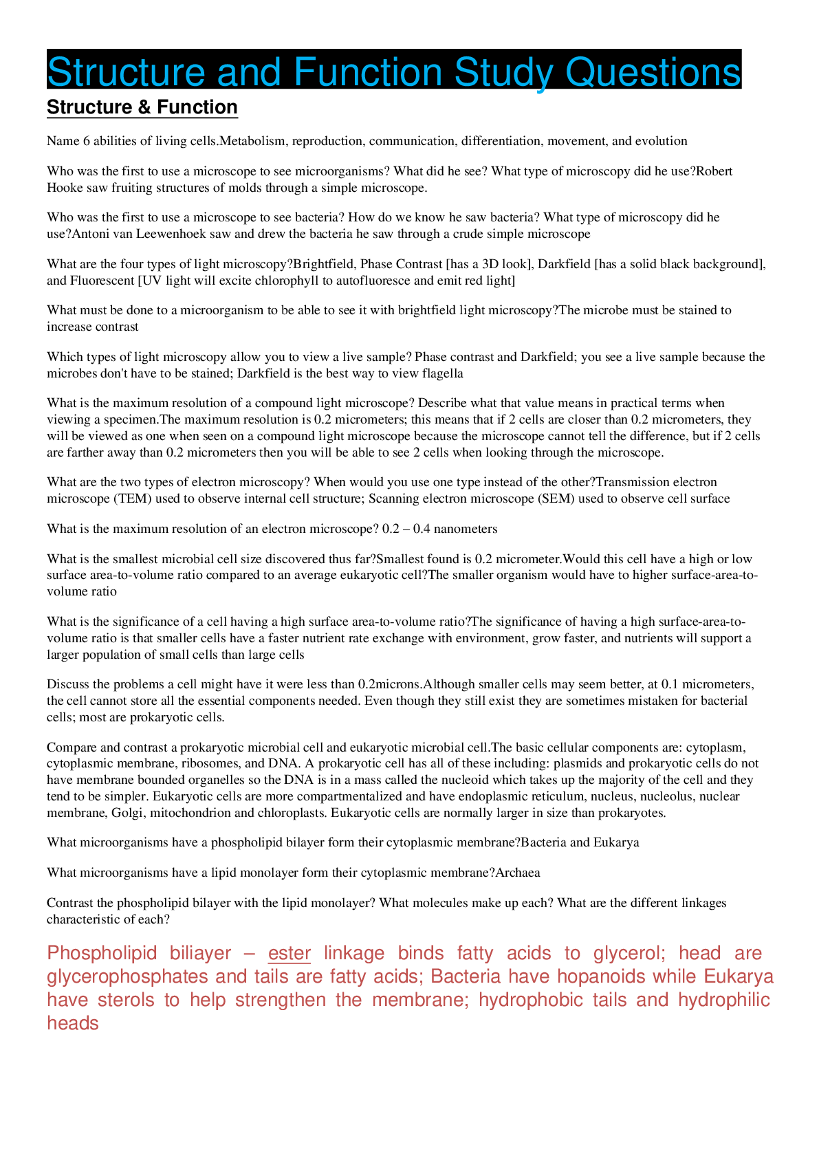 Preview image of Structure and Function Study Questions GRADED A document