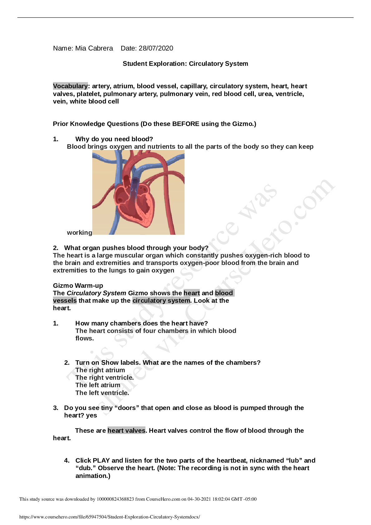 Preview image of Oxford UniversitySCIENCE 103Student Exploration- Circulatory System.ALL ANSWERS CORRECT. GRADED A document
