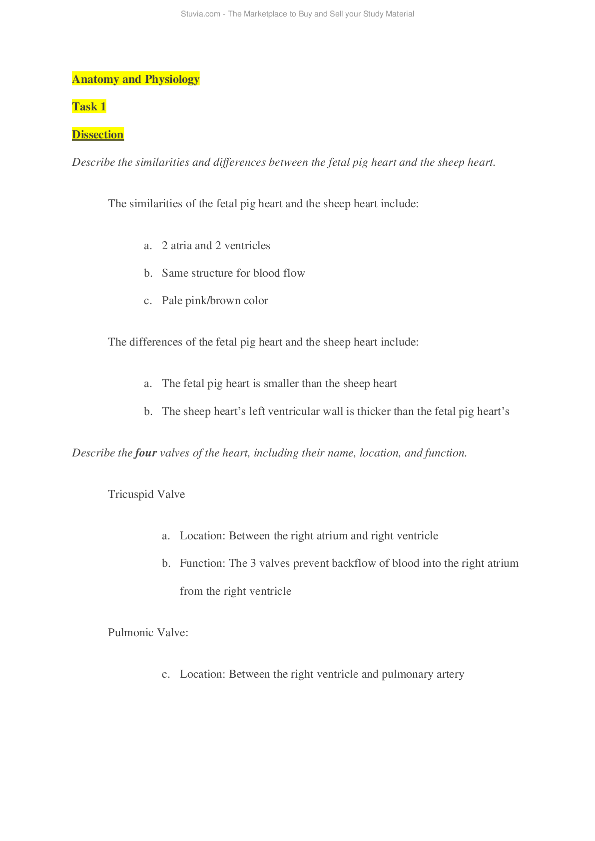 document-preview