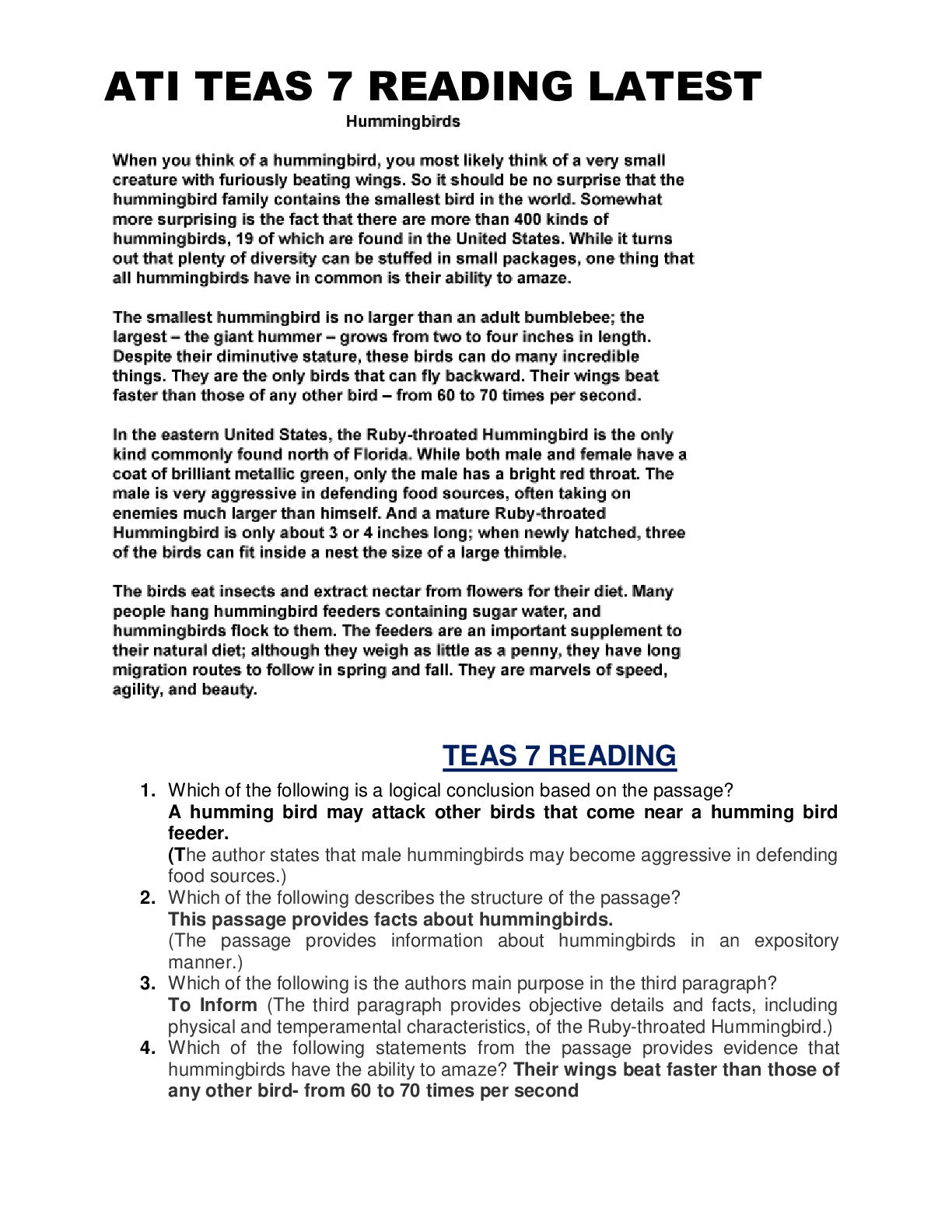 document-preview