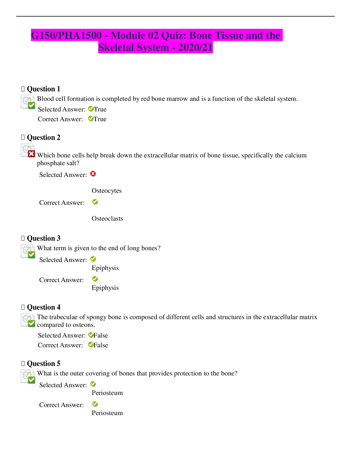 document-preview