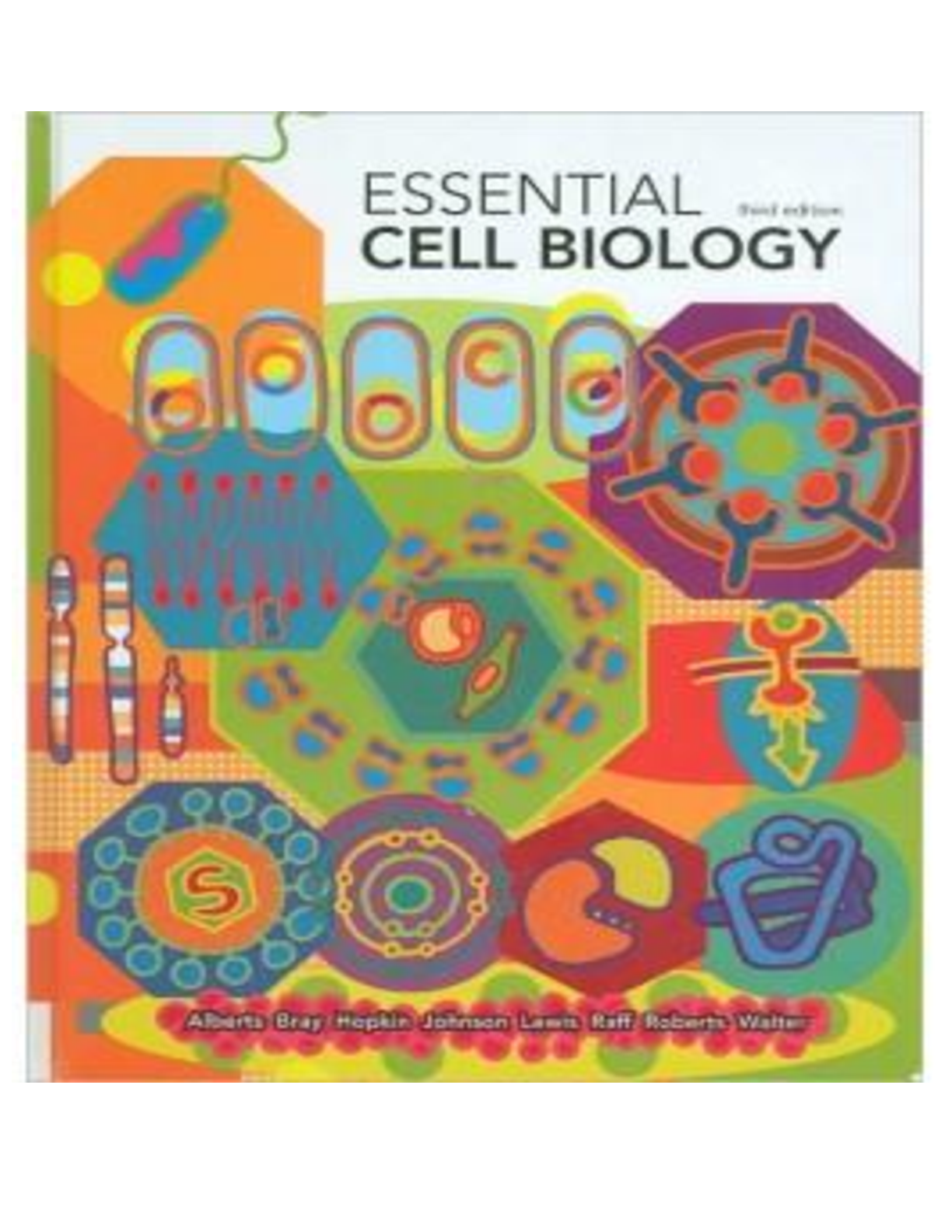 Preview image for Test_Bank_for_Essential_Cell_Biology_3rd_Edition_Alberts
