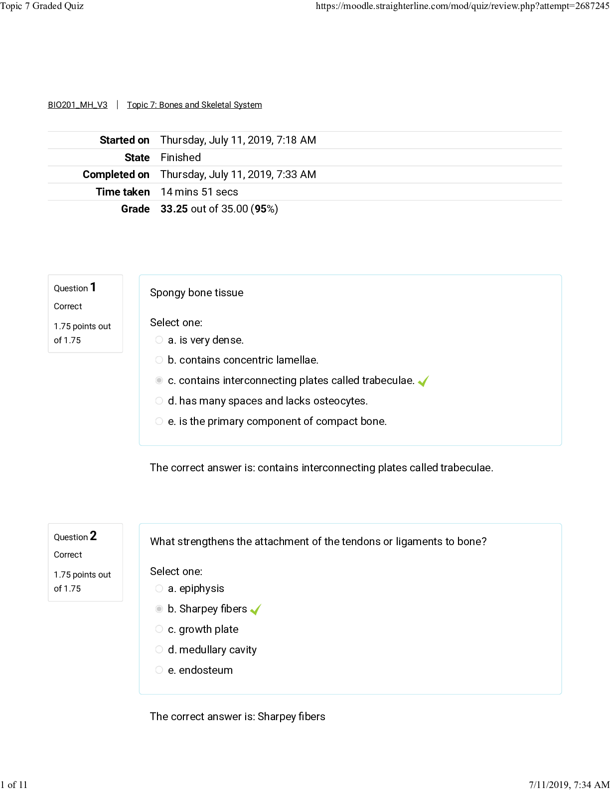 document-preview