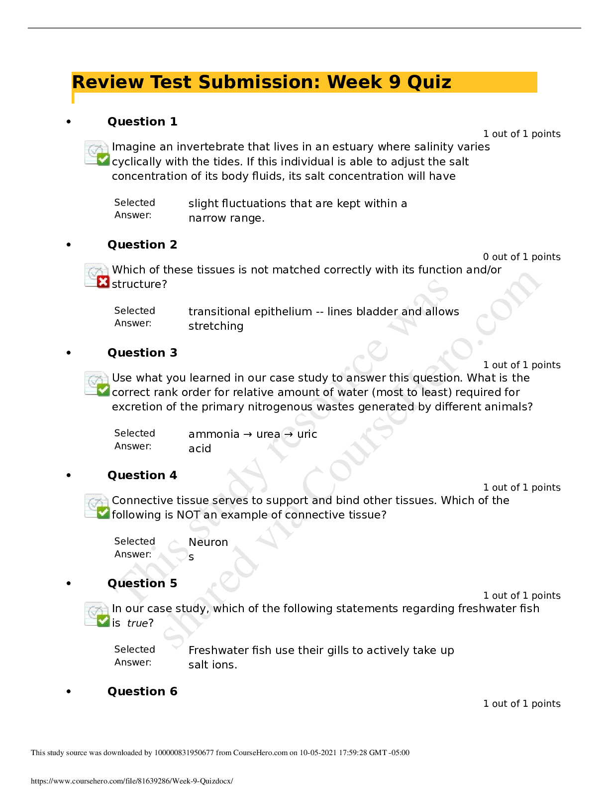 document-preview