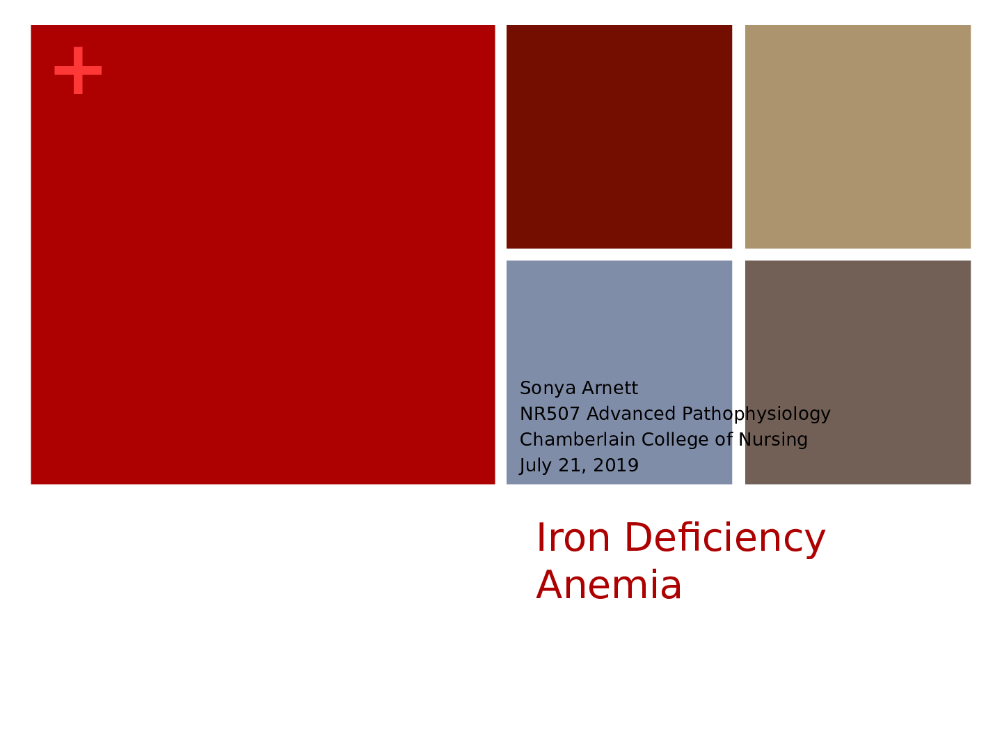Preview image for NR 507 Advanced Pathophysiology Wk5_Assignment_IDA {Iron Deficiency Anemia} Sonya Arnett