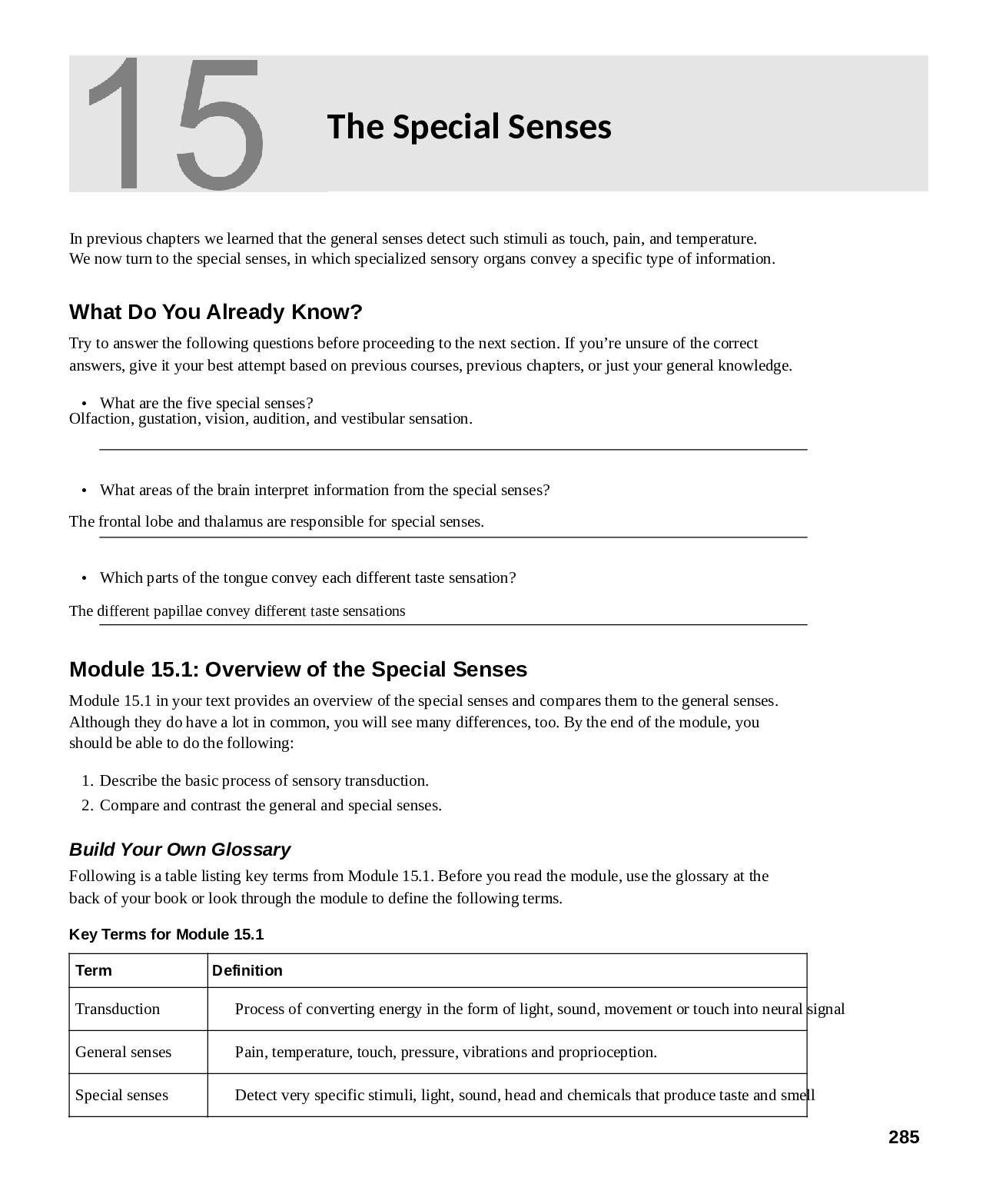 Preview image of The Special Senses BIOL 223Worksheet Chapter 15 document