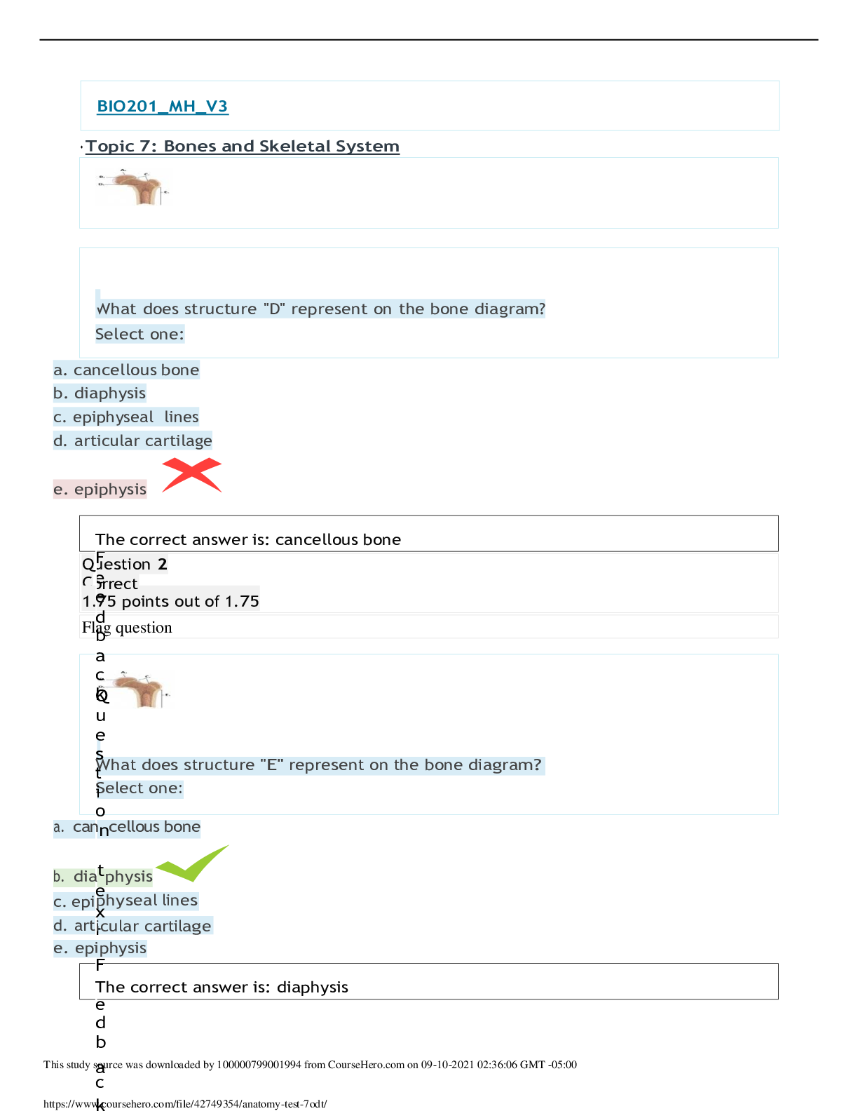 Preview image of AA 1anatomy test 7 100% RELIABLE document