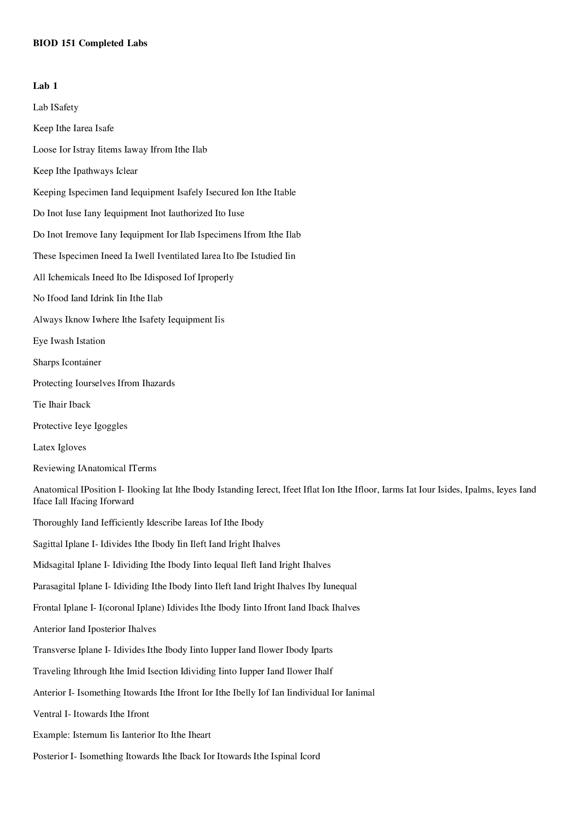 document-preview