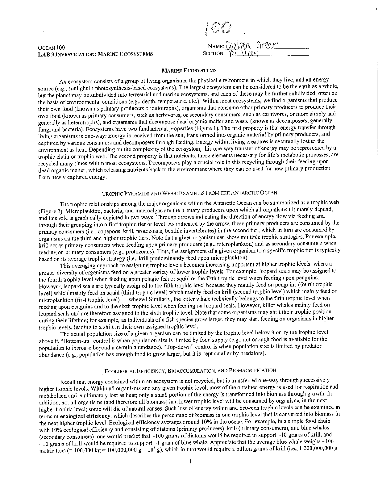 Preview of Ocean 100 Lab 9 Investigation - Marine Ecosystems