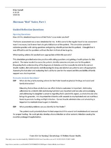 Preview page 1 of VSIM RED YODER part 1 Guided Reflection 6.16./Rated A already