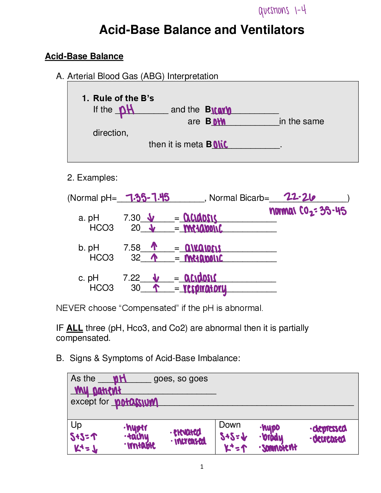 Preview image for Acid-Base Balance and Ventilators