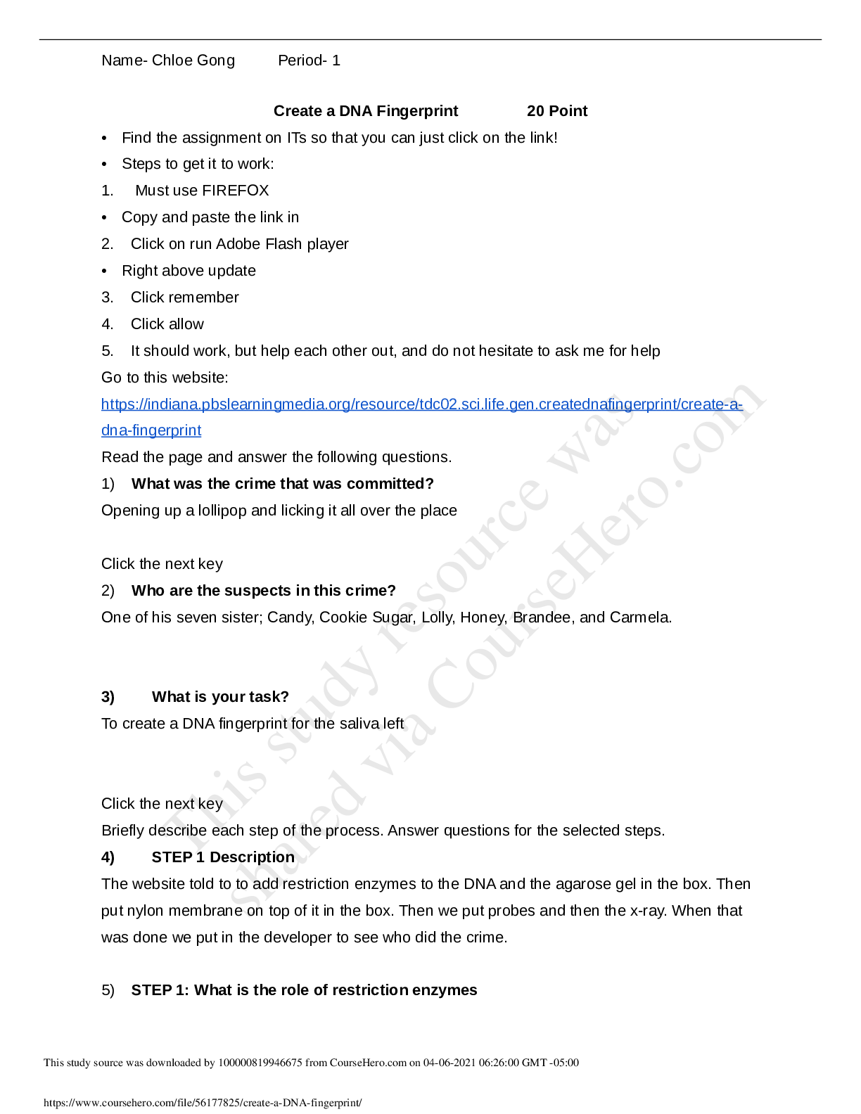 document-preview