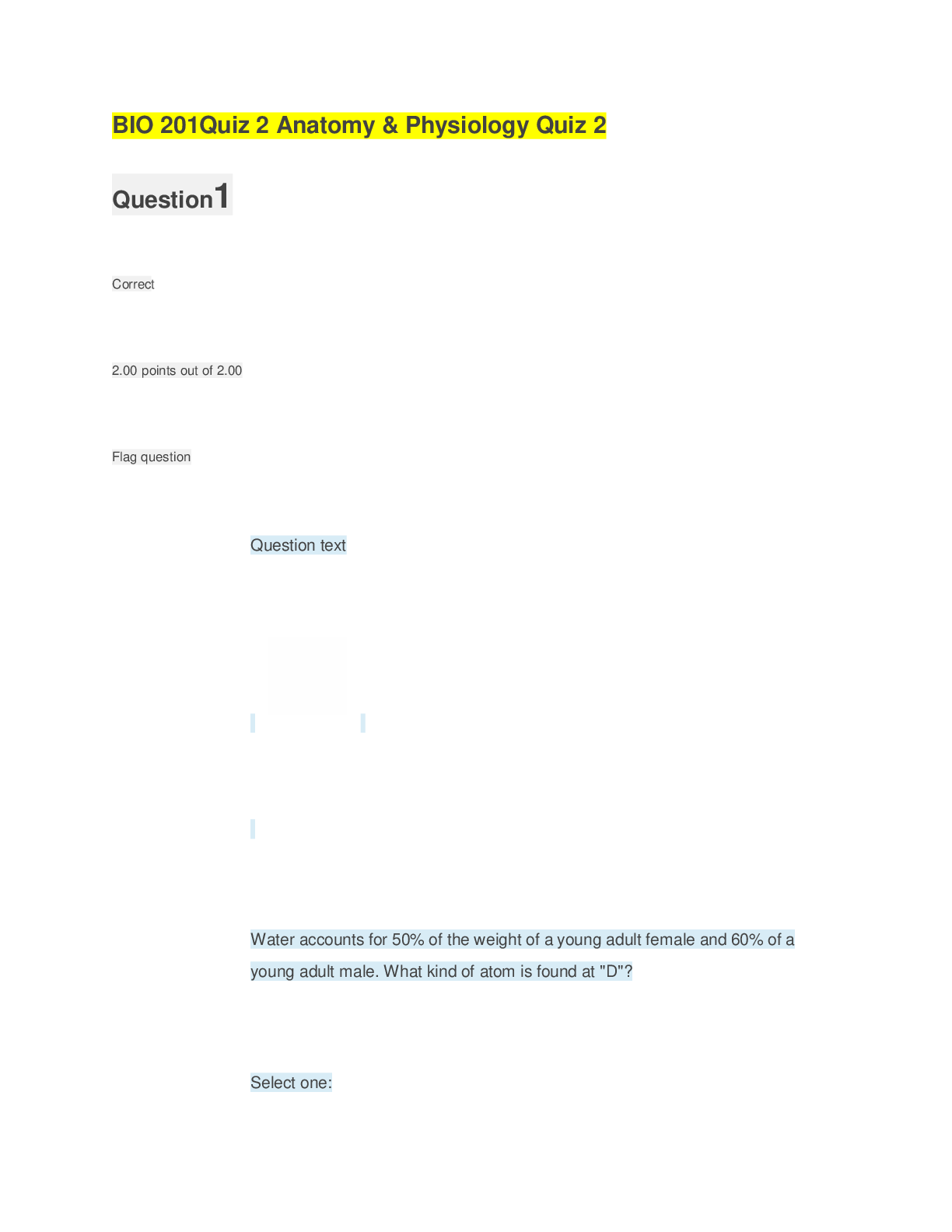 document-preview