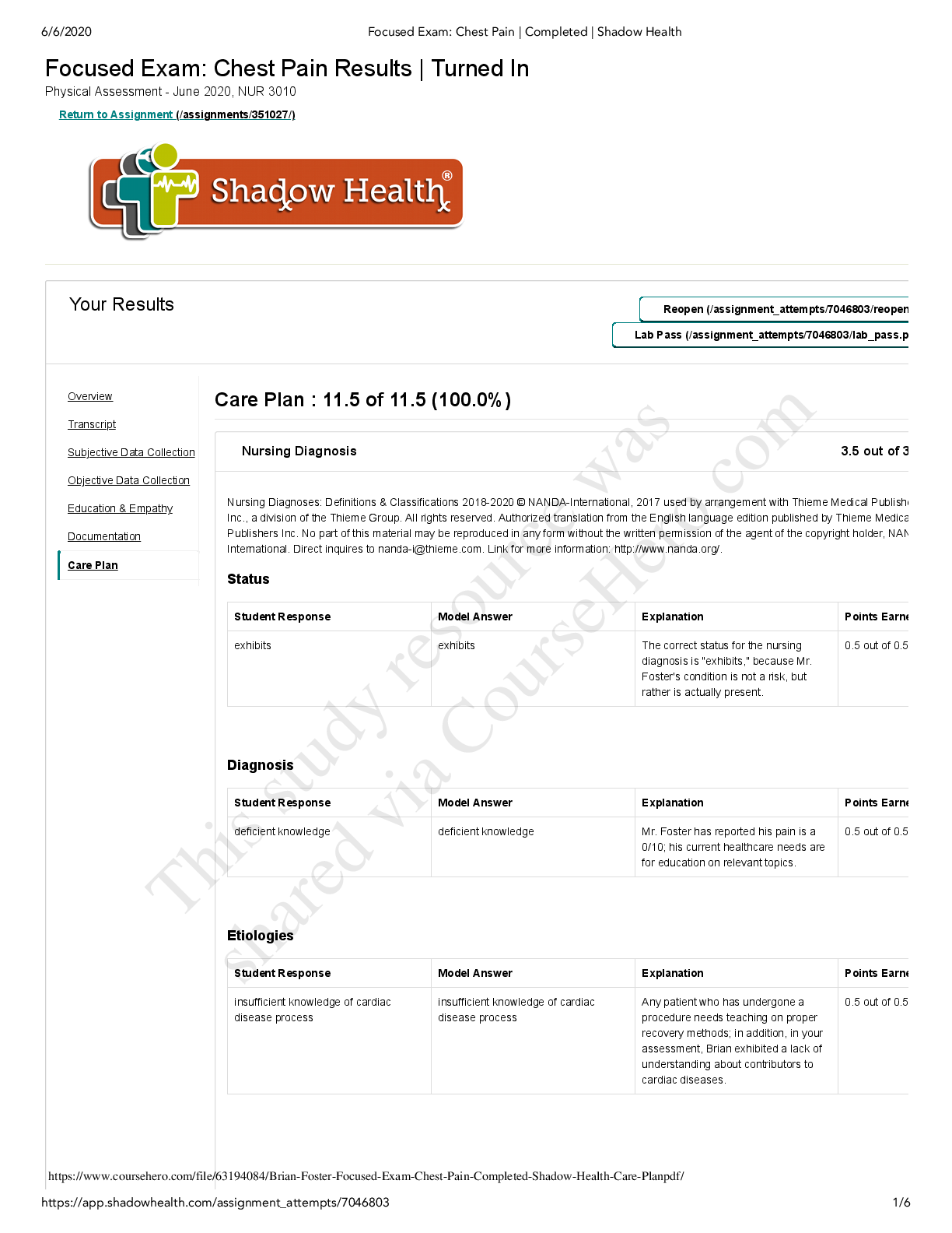 Preview of NUR 3010 Brian Foster Focused Exam Chest Pain Completed Shadow Health Care Plan