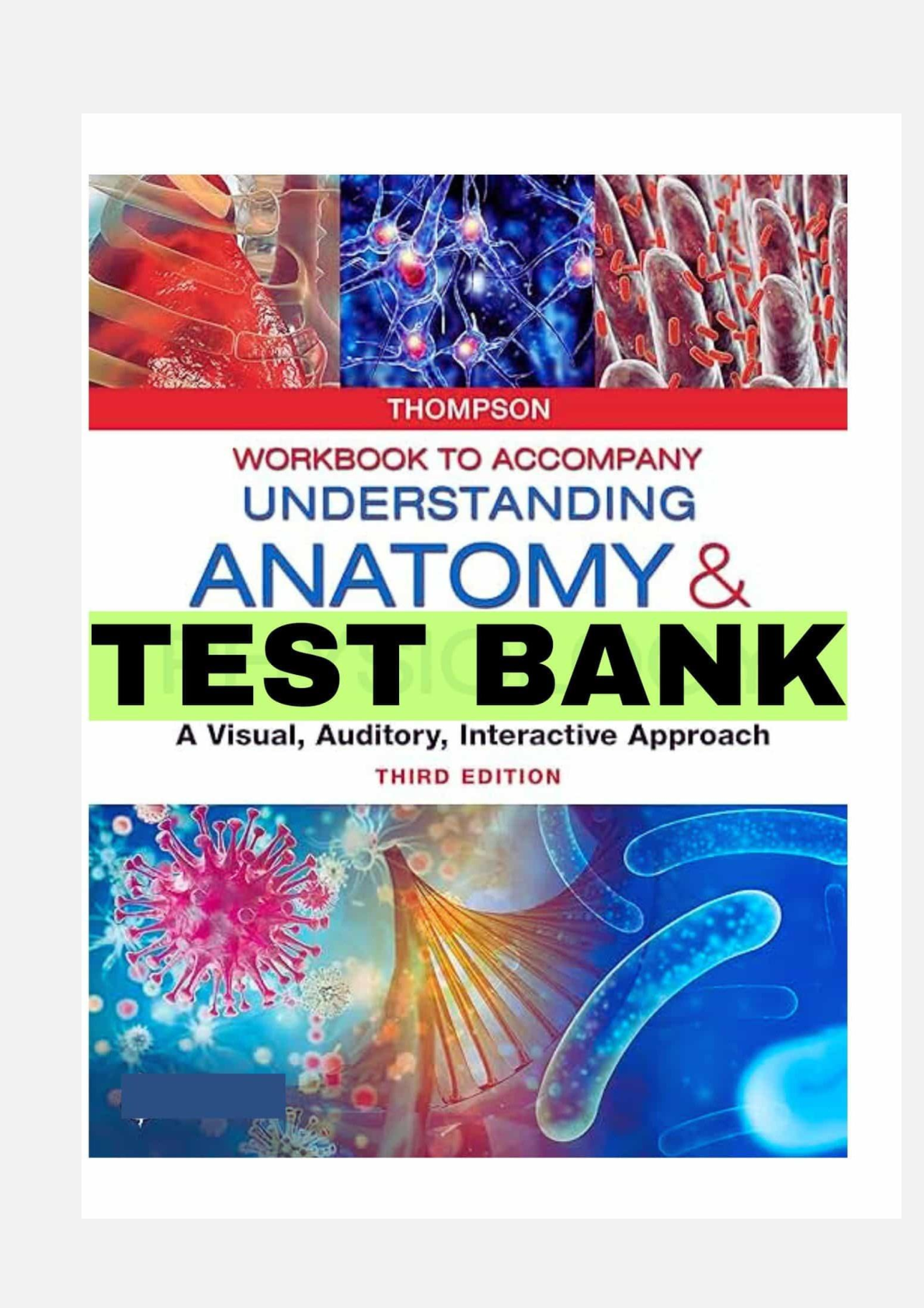 Preview image for TEST BANK for Understanding Anatomy & Physiology A Visual, Auditory, Interactive Approach 3rd Edition by Gale Sloan Thompson