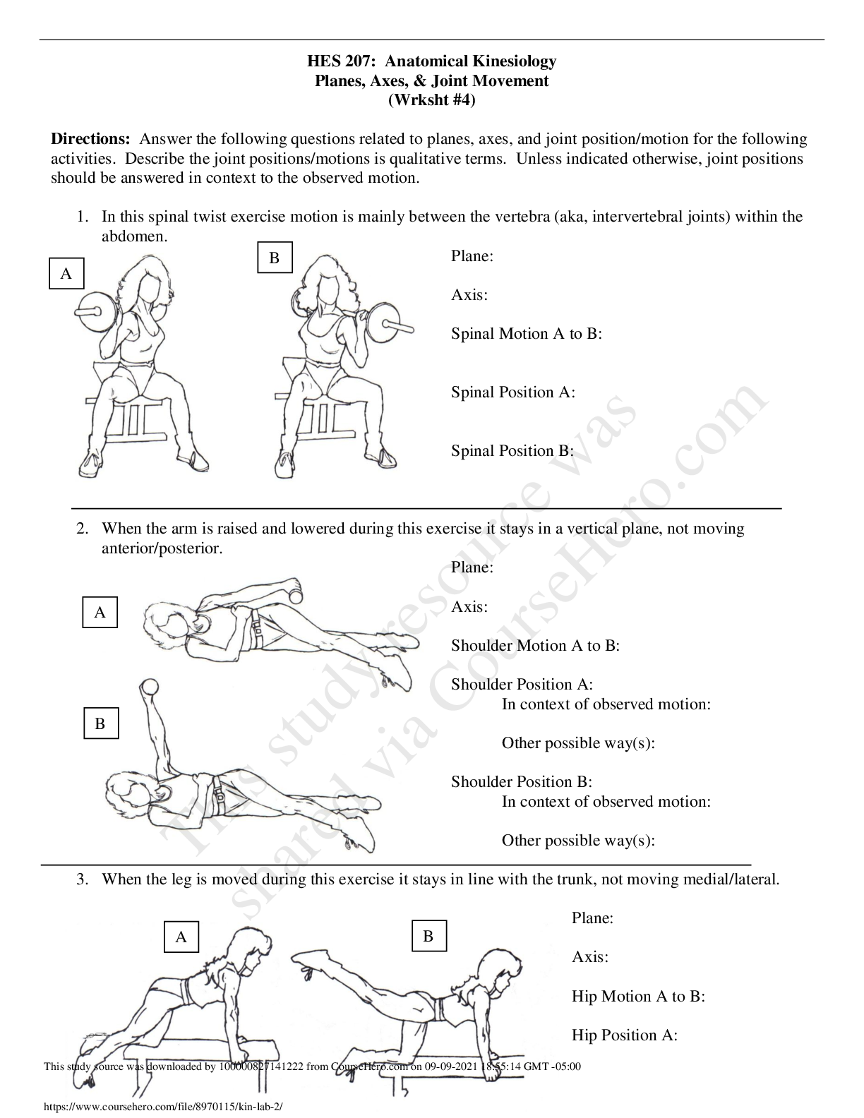 Preview image for HES 207: Anatomical Kinesiology Planes, Axes, & Joint Movement (Wrksht #4)