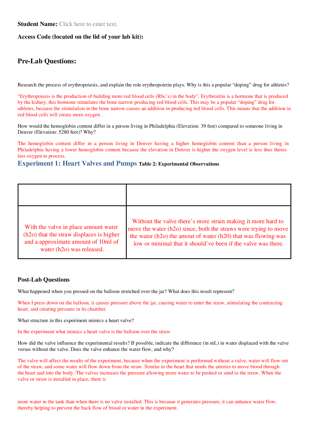 document-preview