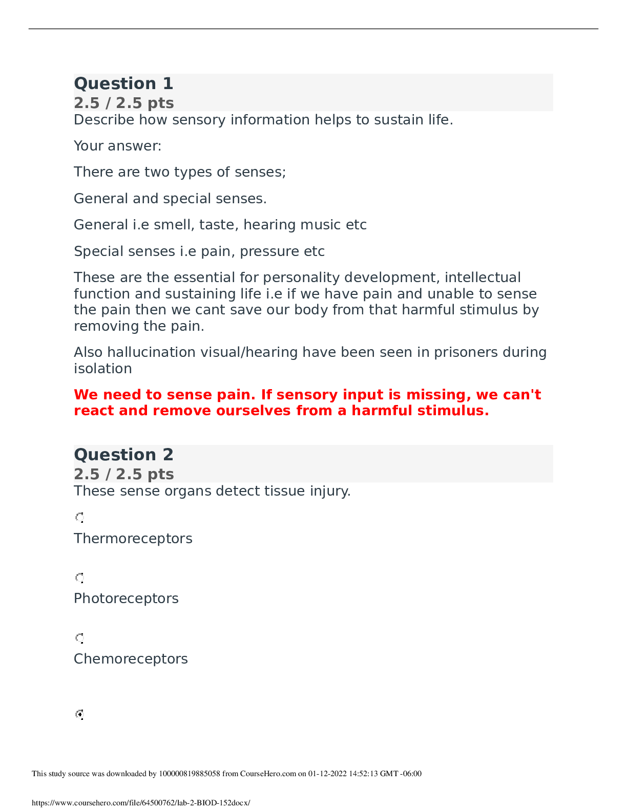 document-preview