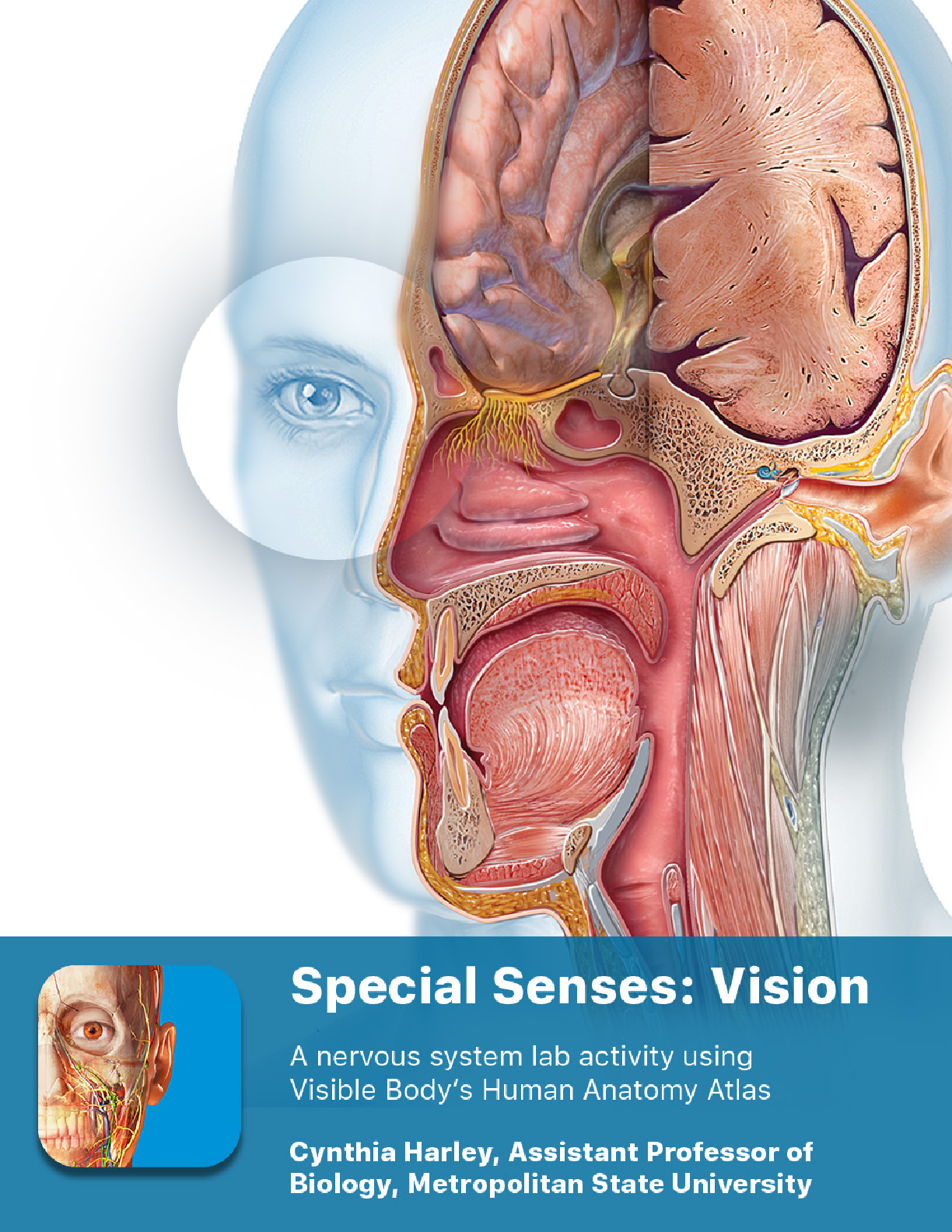 Preview image of BIOL 40Blab manual_senses eye document
