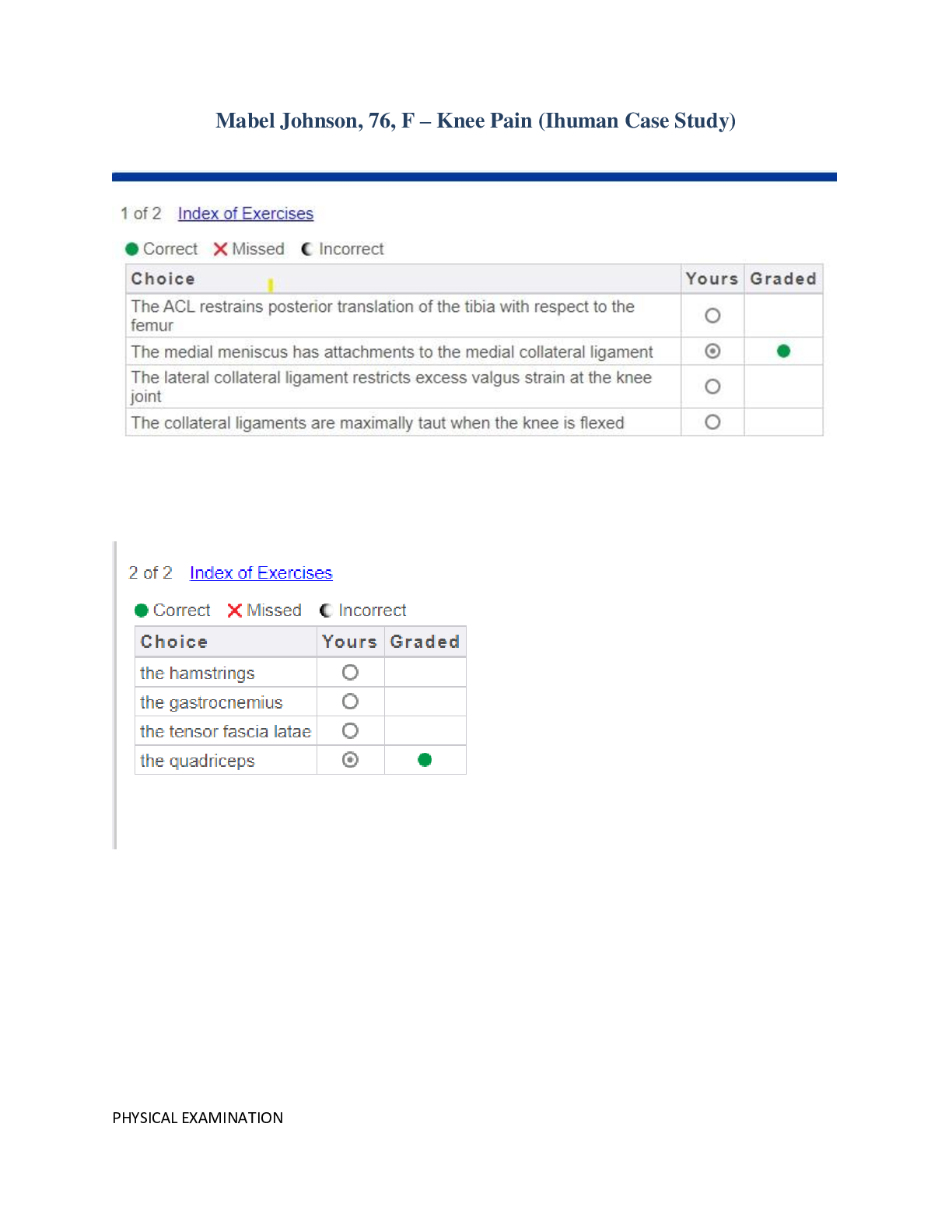 Preview image for NRNP 6531 Mabel Johnson IHUMAN Full Report 2022