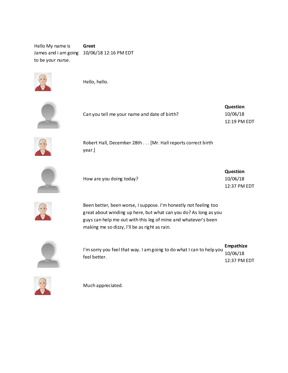 Preview image of NRSE 4560 Shadow Health Mobility Transcript document