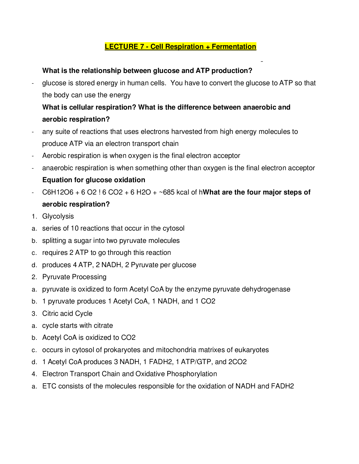 document-preview