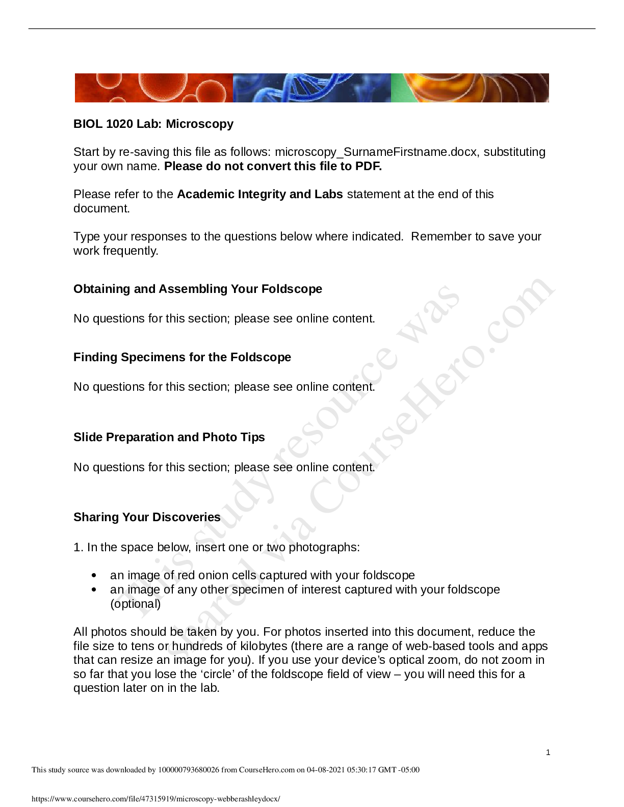 Preview image of BIOL 1020 Lab: Microscopy document