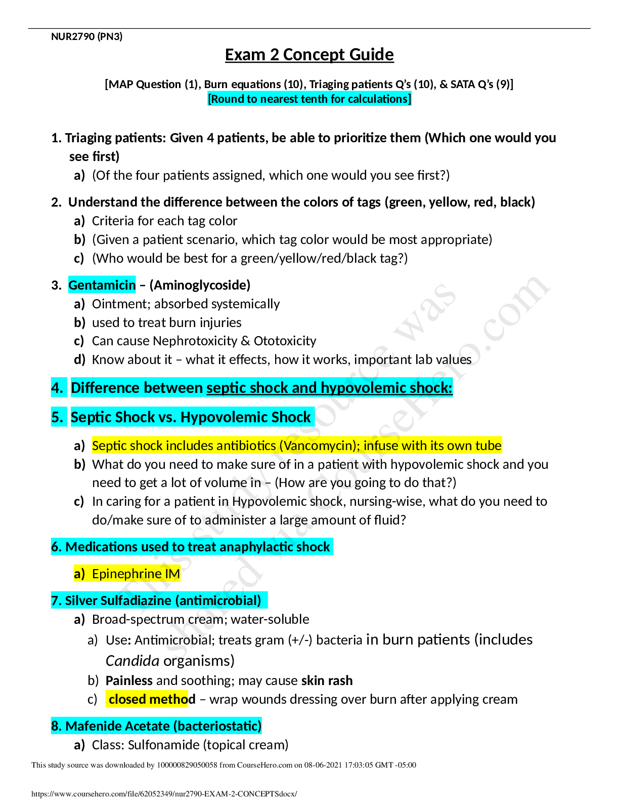 Preview image of nur279__EXAM_2_CONCEPTS. document