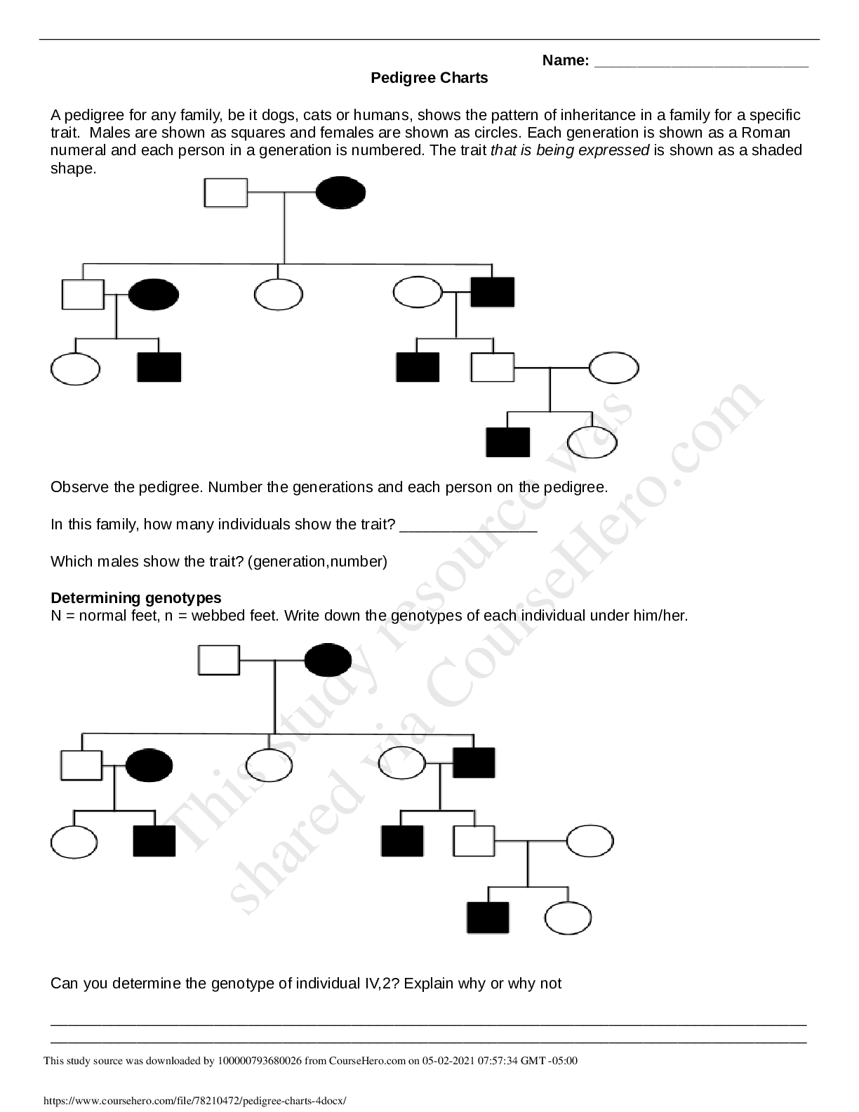 Preview image for Peach County High SchoolSCIENCE 101pedigree_charts (4)