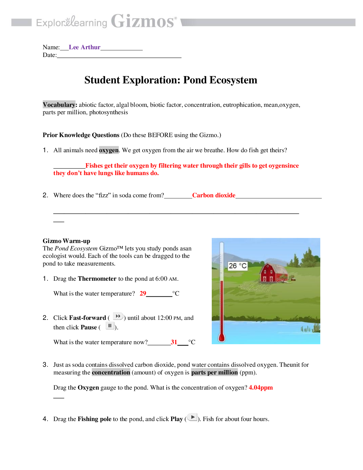 Preview image of Gizmos Student Exploration: Pond Ecosystem document