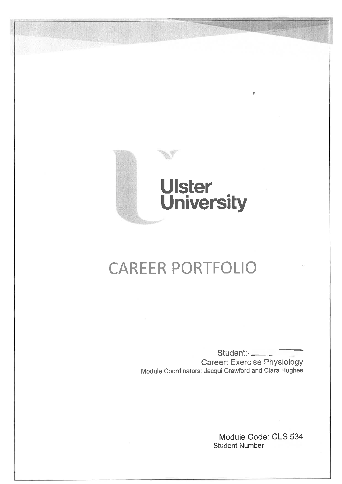 Preview image for portfolio-example1-1