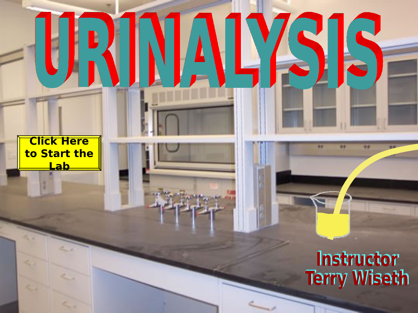 Preview image of Centennial High School - SCIENCE N/AUrinalysis lab.pps document