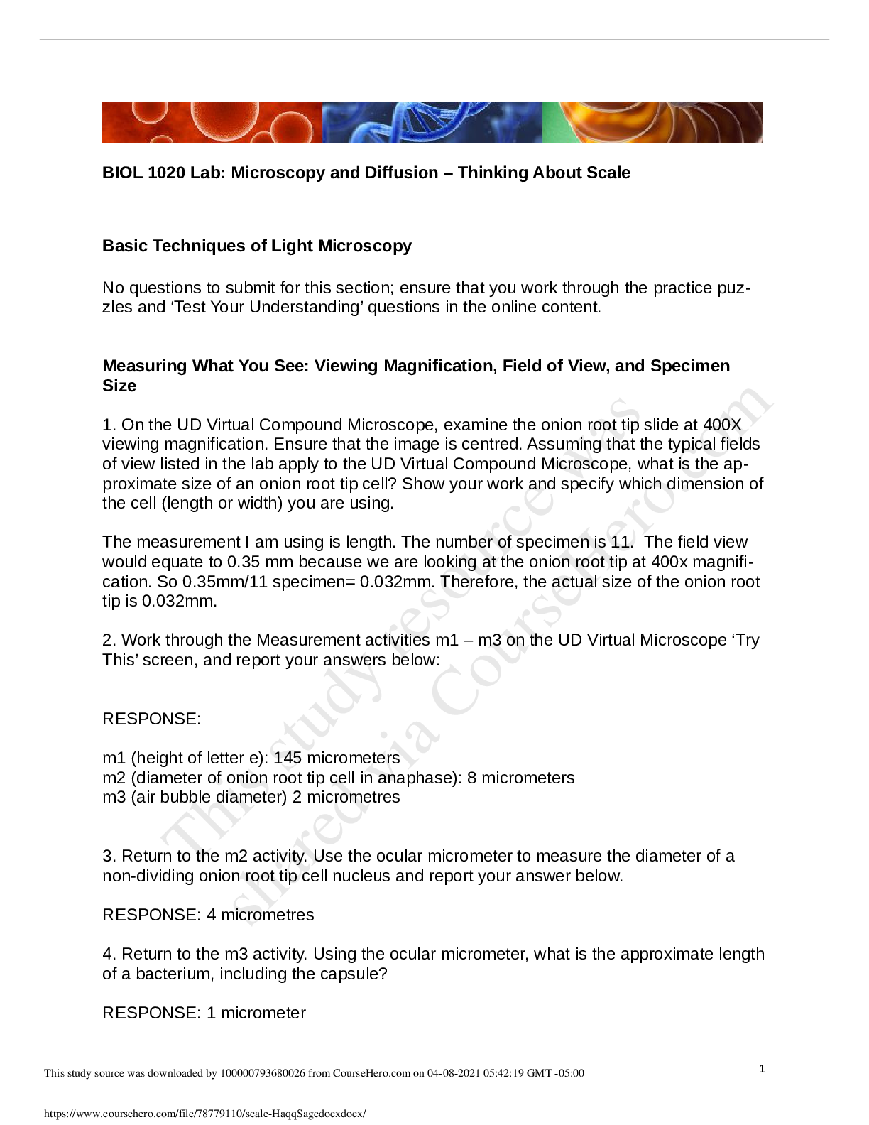 Preview image of BIOL 1020 Lab: Microscopy and Diffusion – Thinking About Scale document