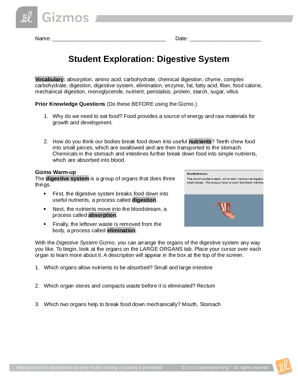 document-preview