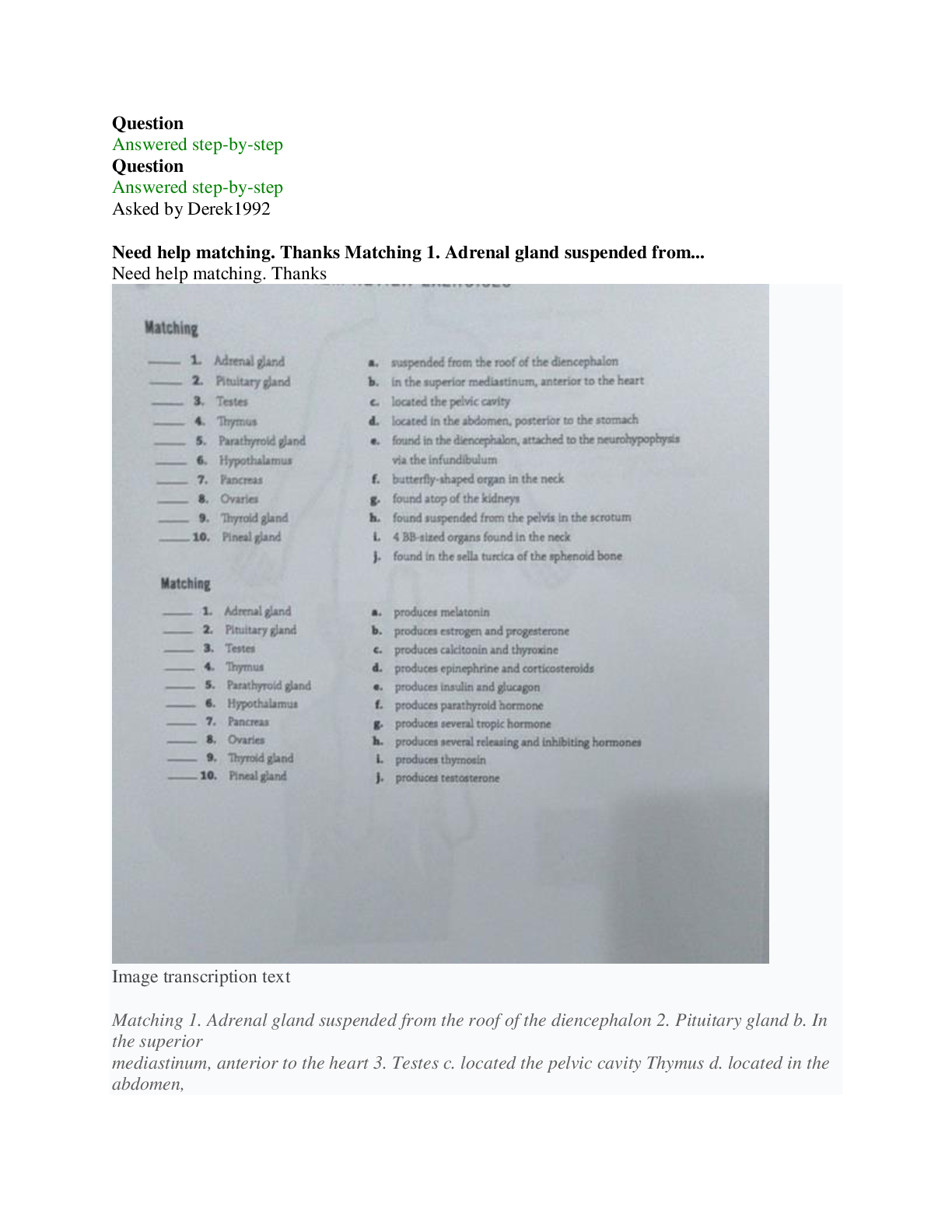 document-preview