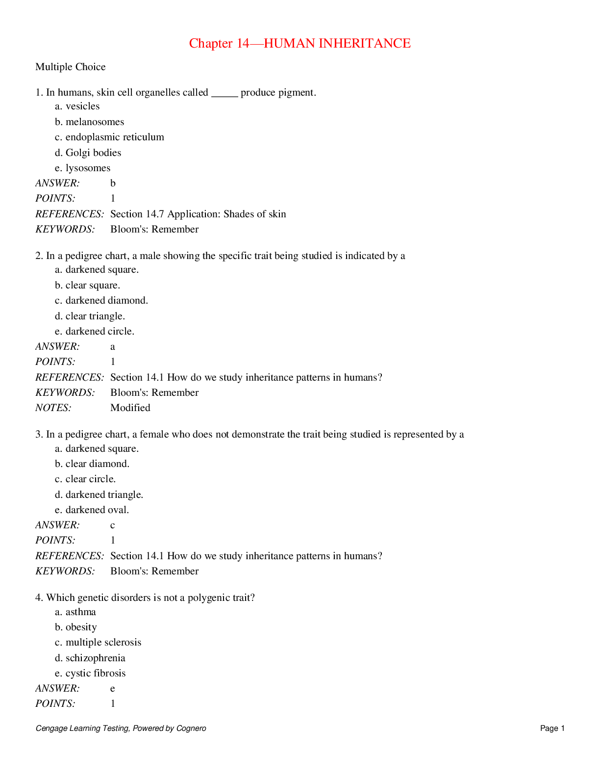 document-preview