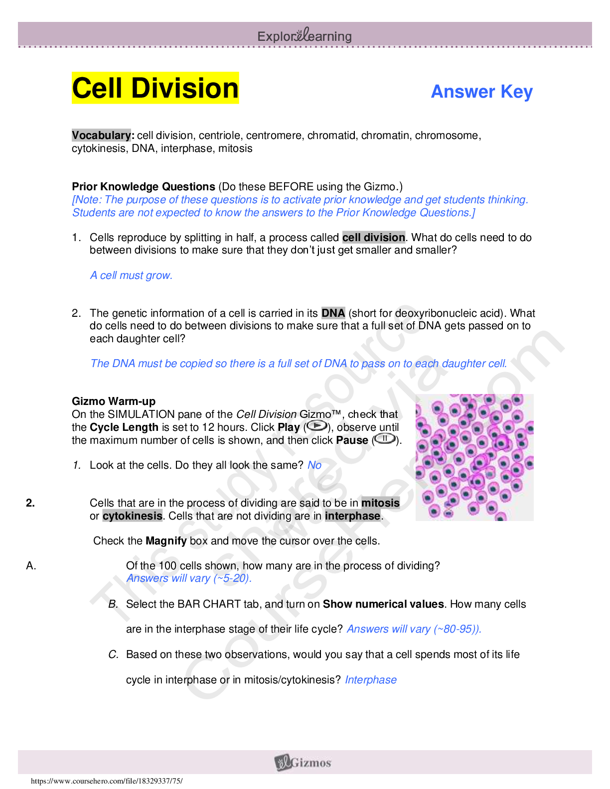 document-preview